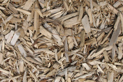 biomass boilers Gunstone